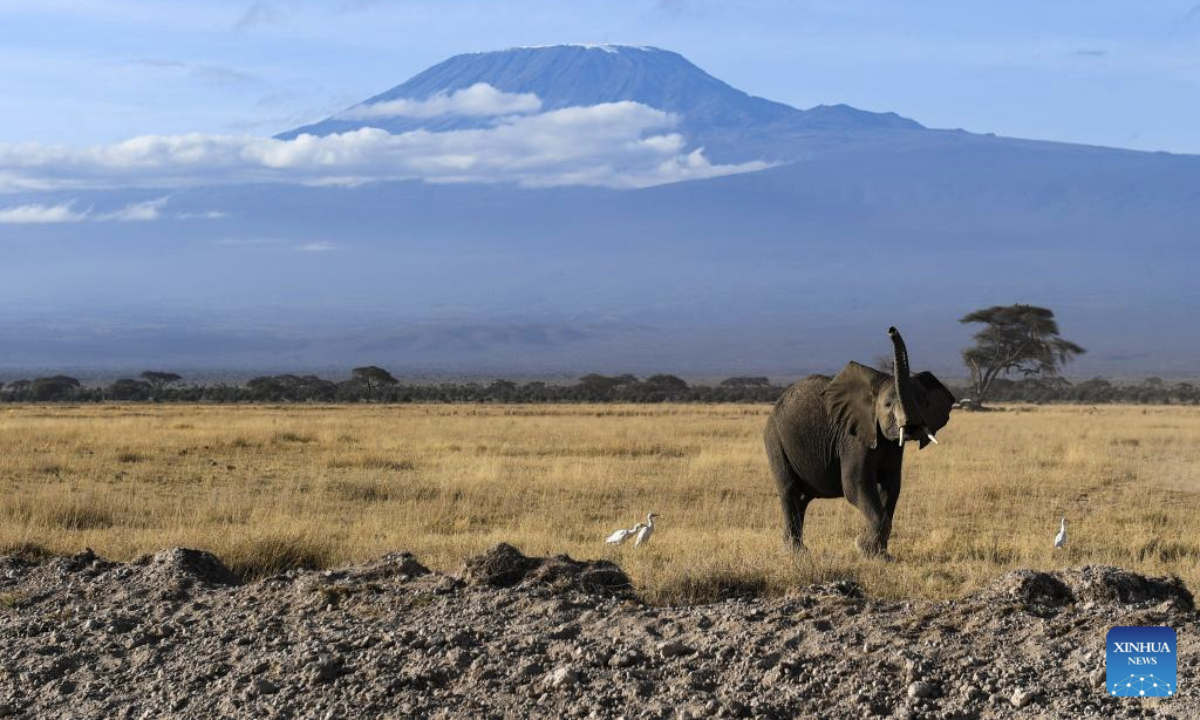 Amboseli National Park featuring unique scenery home to wild animals in ...