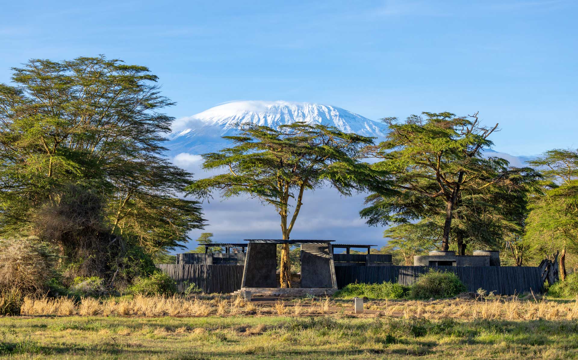Amboseli — Angama