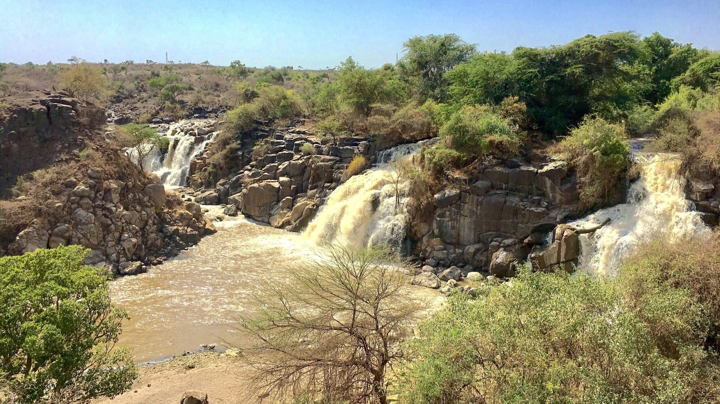 Awash National Park, a wonder in the heart of Ethiopia