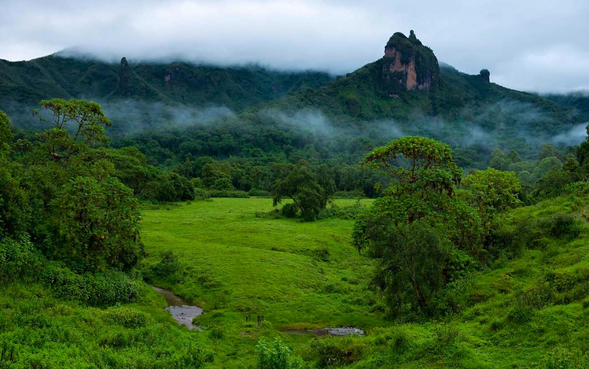 Bale Mountains National Park | Brilliant Ethiopia