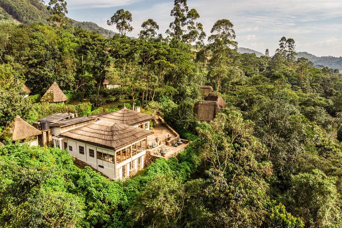 Bwindi Forest Lodge - Turkana Wildlife Safaris