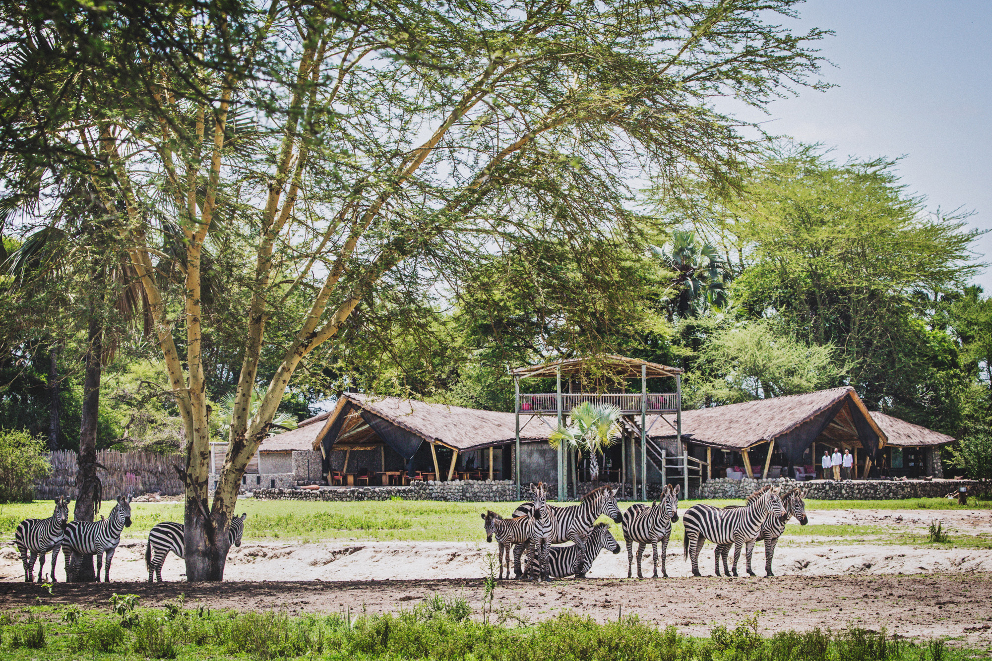 Chem Chem Lodge - Maasai Wanderings