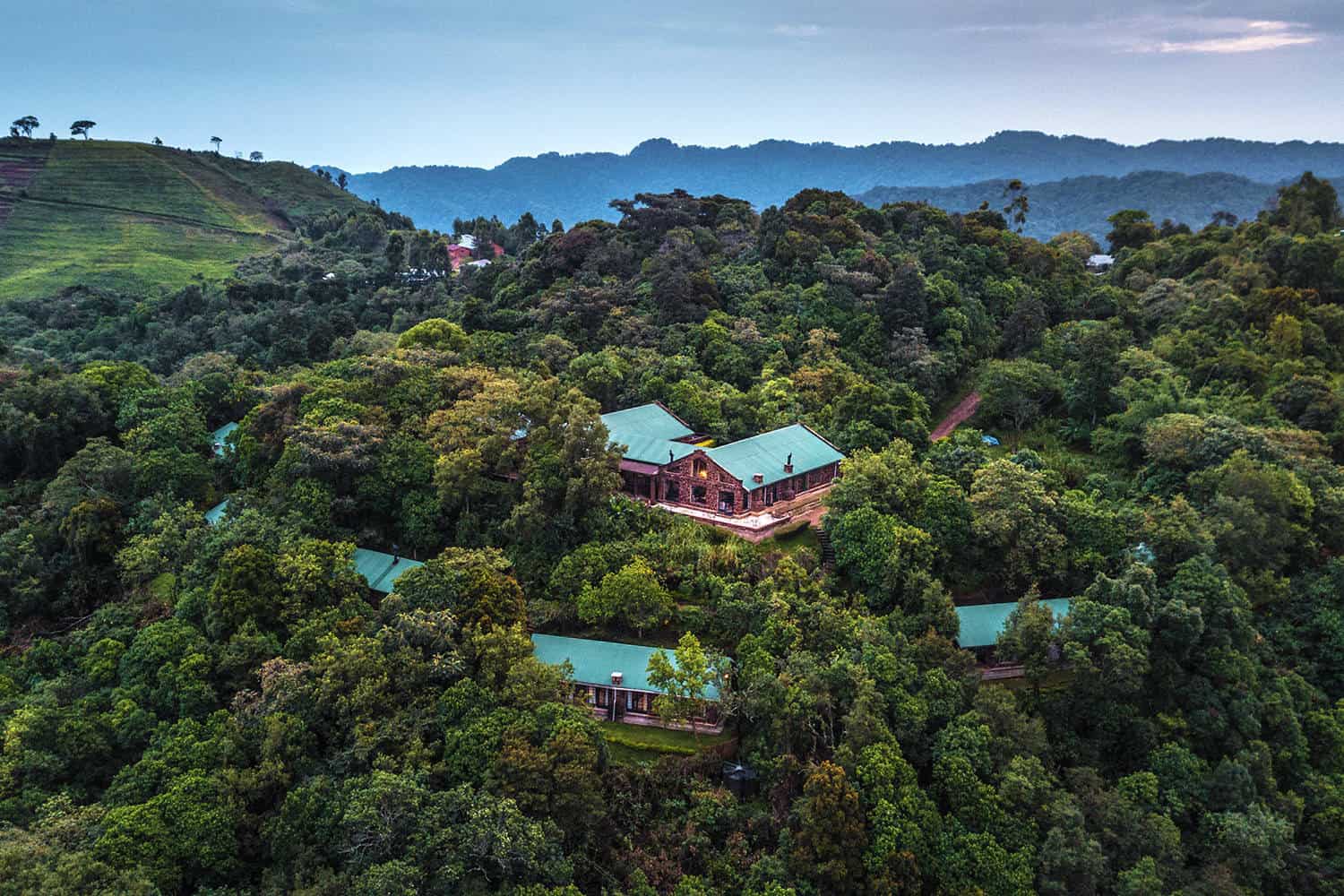 Clouds Mountain Gorilla Lodge | Bwindi Impenetrable National Park