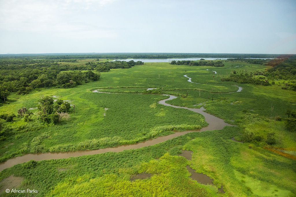 African Parks takes on Ethiopia's Gambella National Park - Africa ...