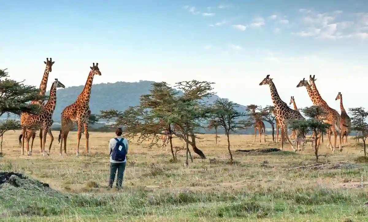 Epic Empowerment • Guided Walking Safari in Tanzania's Wilderness