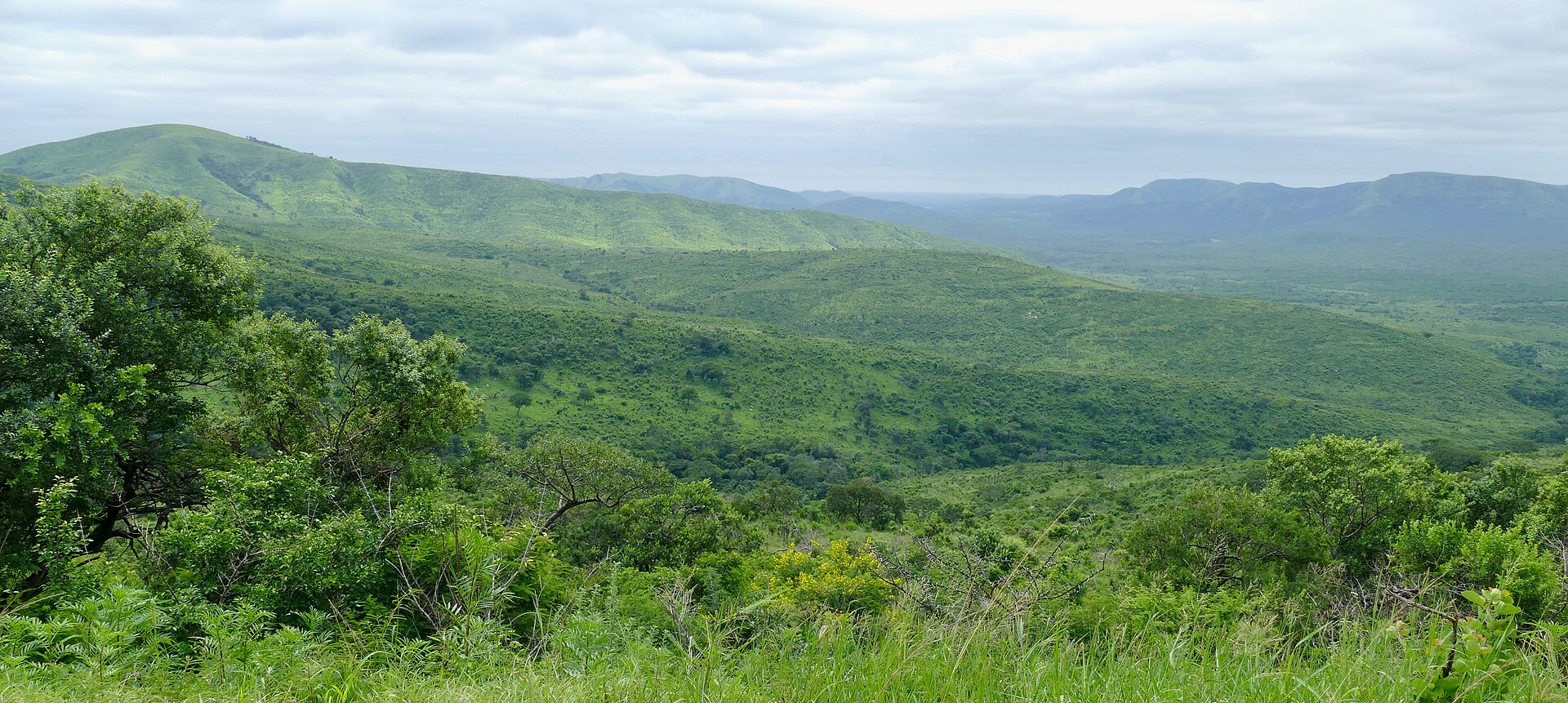 Hluhluwe green hills ... (47294082242)