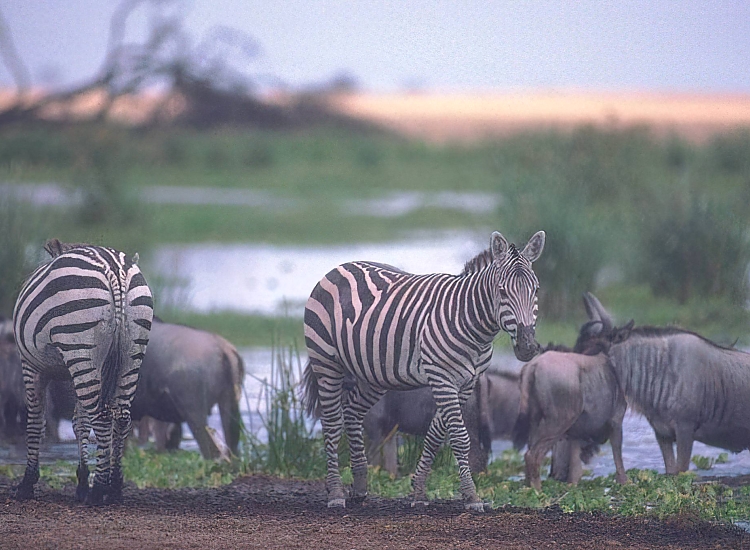 Ibanda-Kyerwa National Park