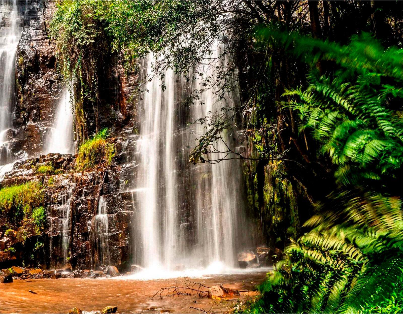 Kibira National Park: A Natural Treasure of Burundi