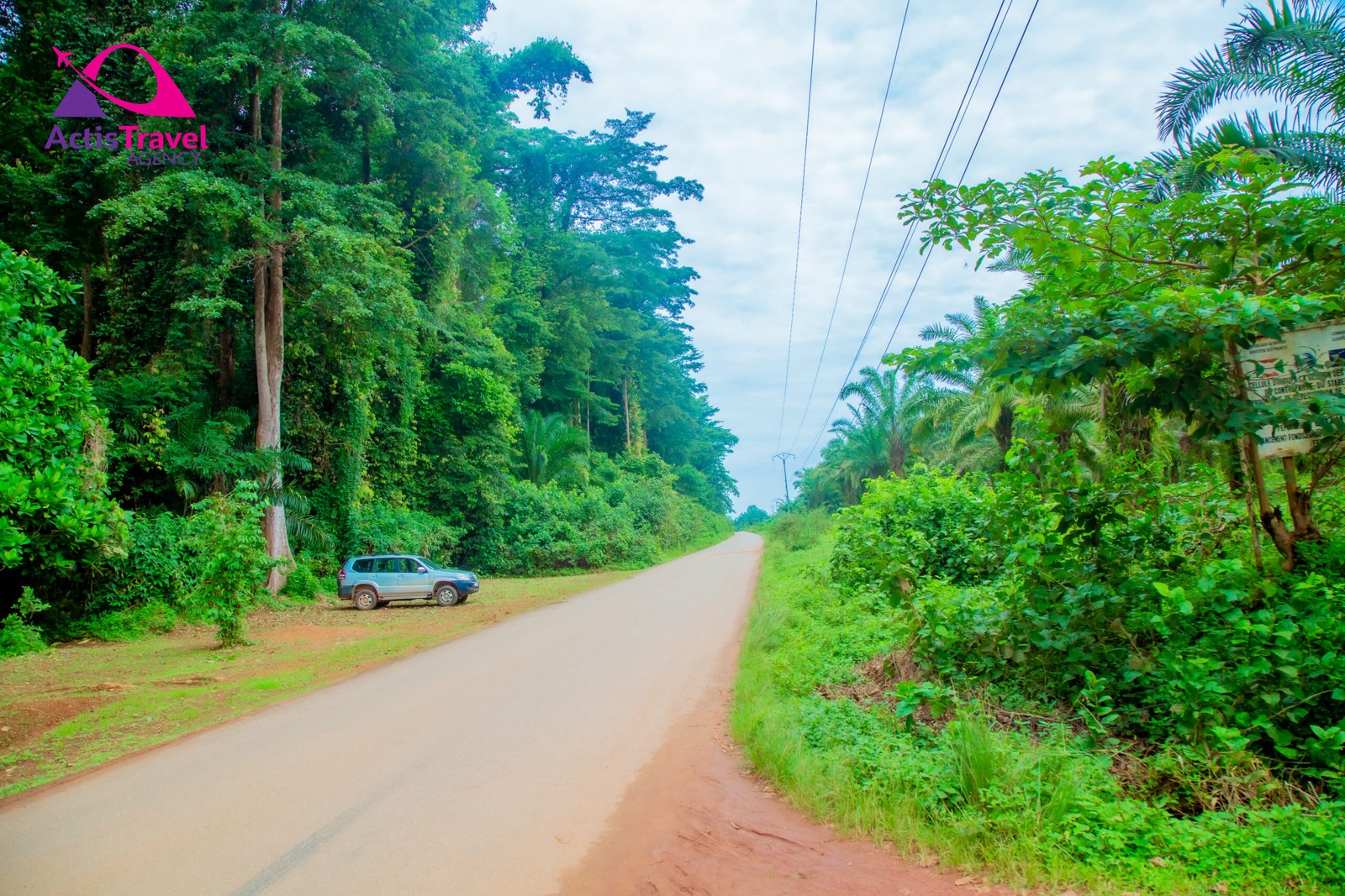 Kigwena nature reserve - Actis Travel