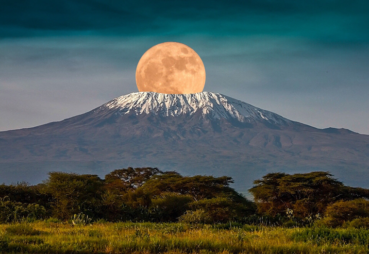 Kilimanjaro National Park - Tanzania Hiking Safaris | Tanzania Safaris