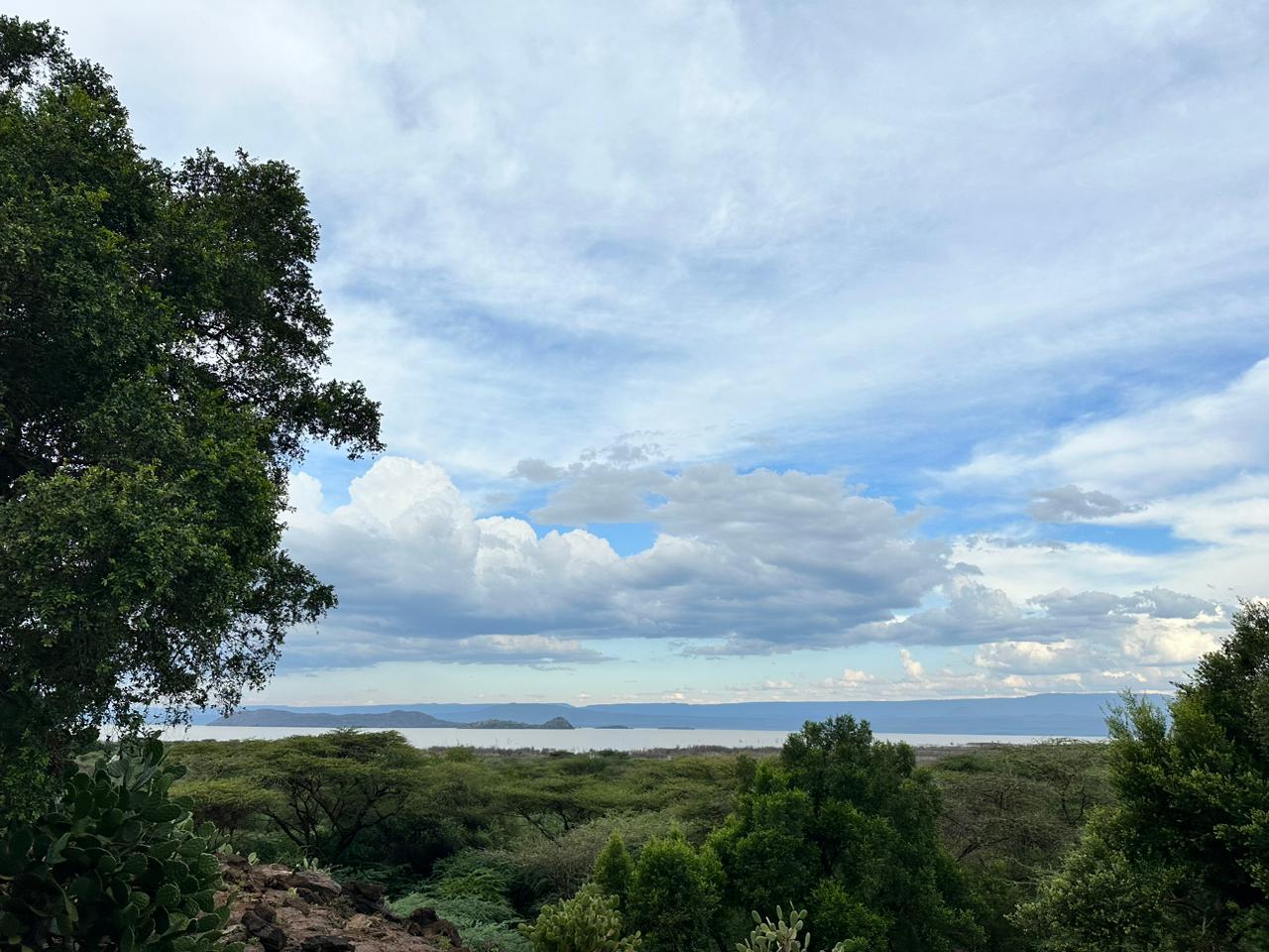 The beautiful birds of Mount Kenya and Lake Baringo - Nature Travel Birding