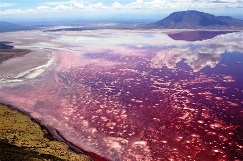 Soda and Salt Lake Natron in Tanzania - Charismatic Planet