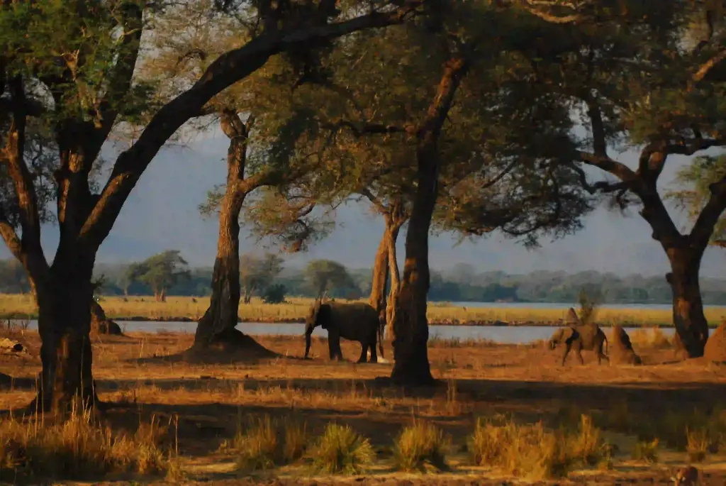 Mana Pools National Park