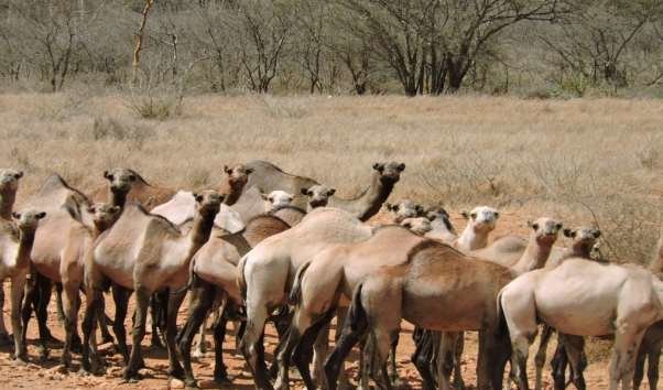Matheniko Wildlife Reserve