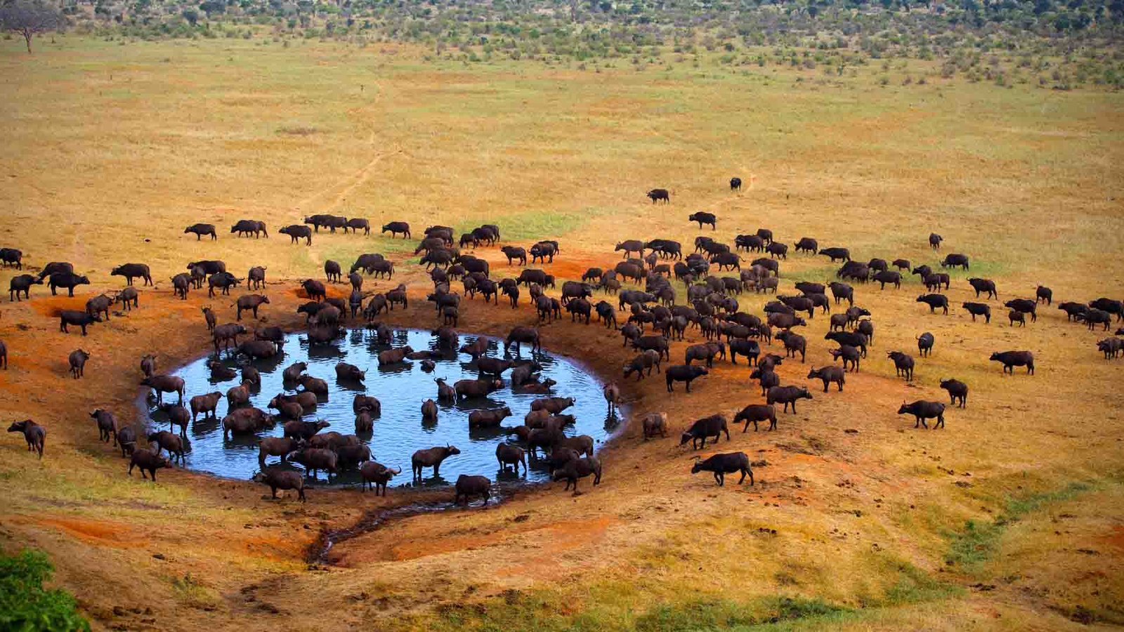 Meru National Park Kenya, Activities & Attractions