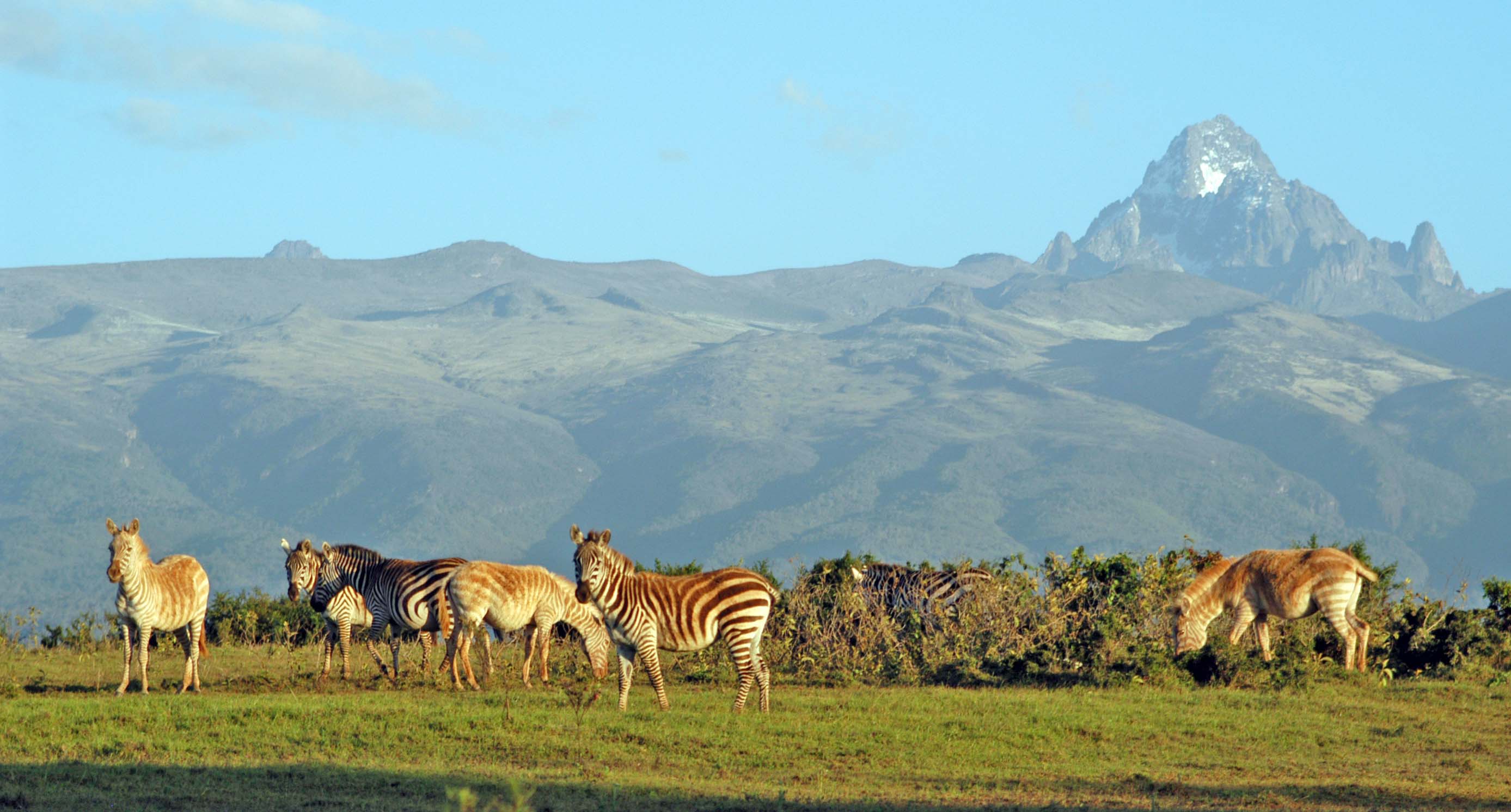 Mount Kenya National Park | Kenya National Park | Hiking Safaris