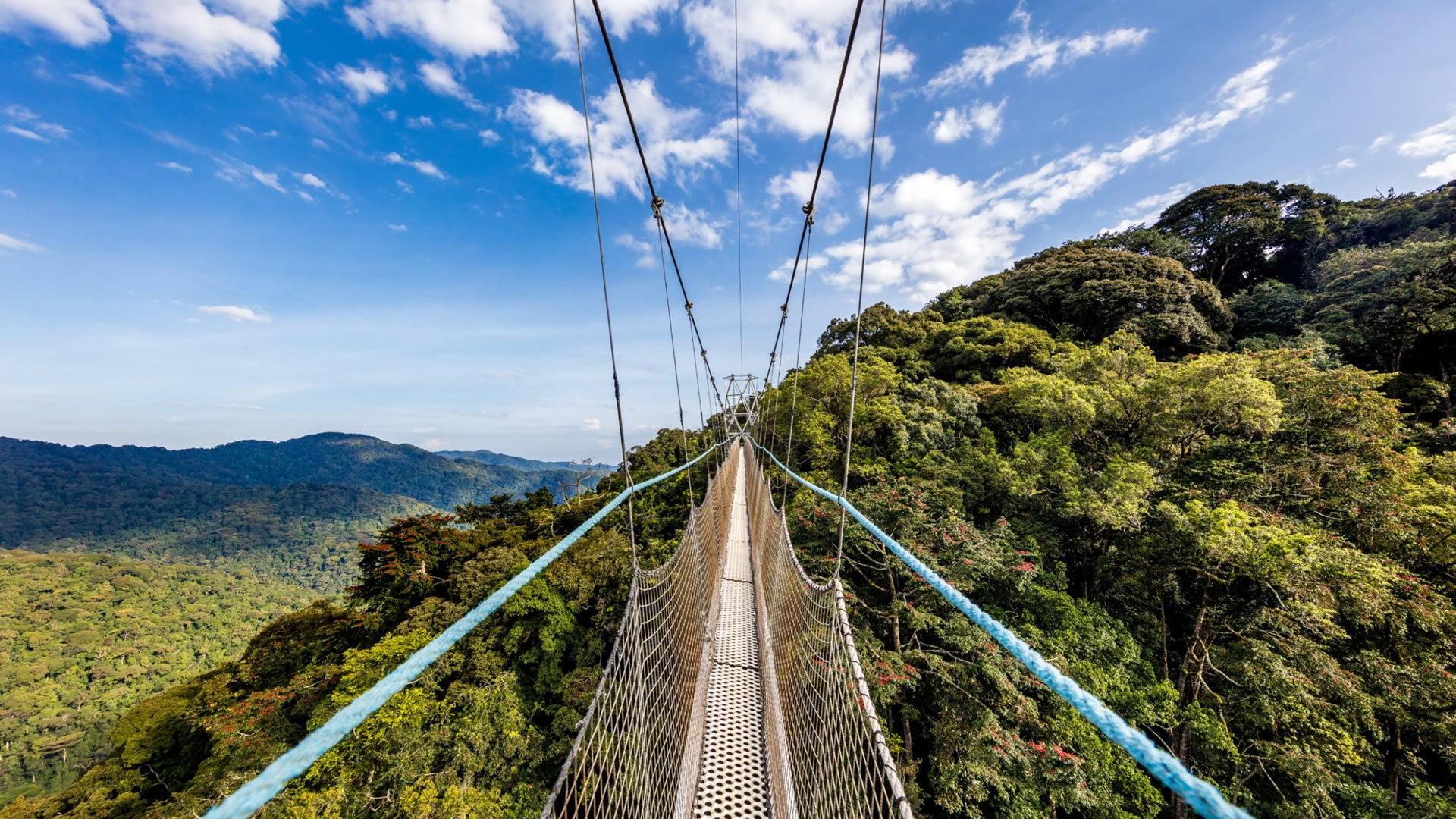 Nyungwe Forest National Park | Flight Safaris International