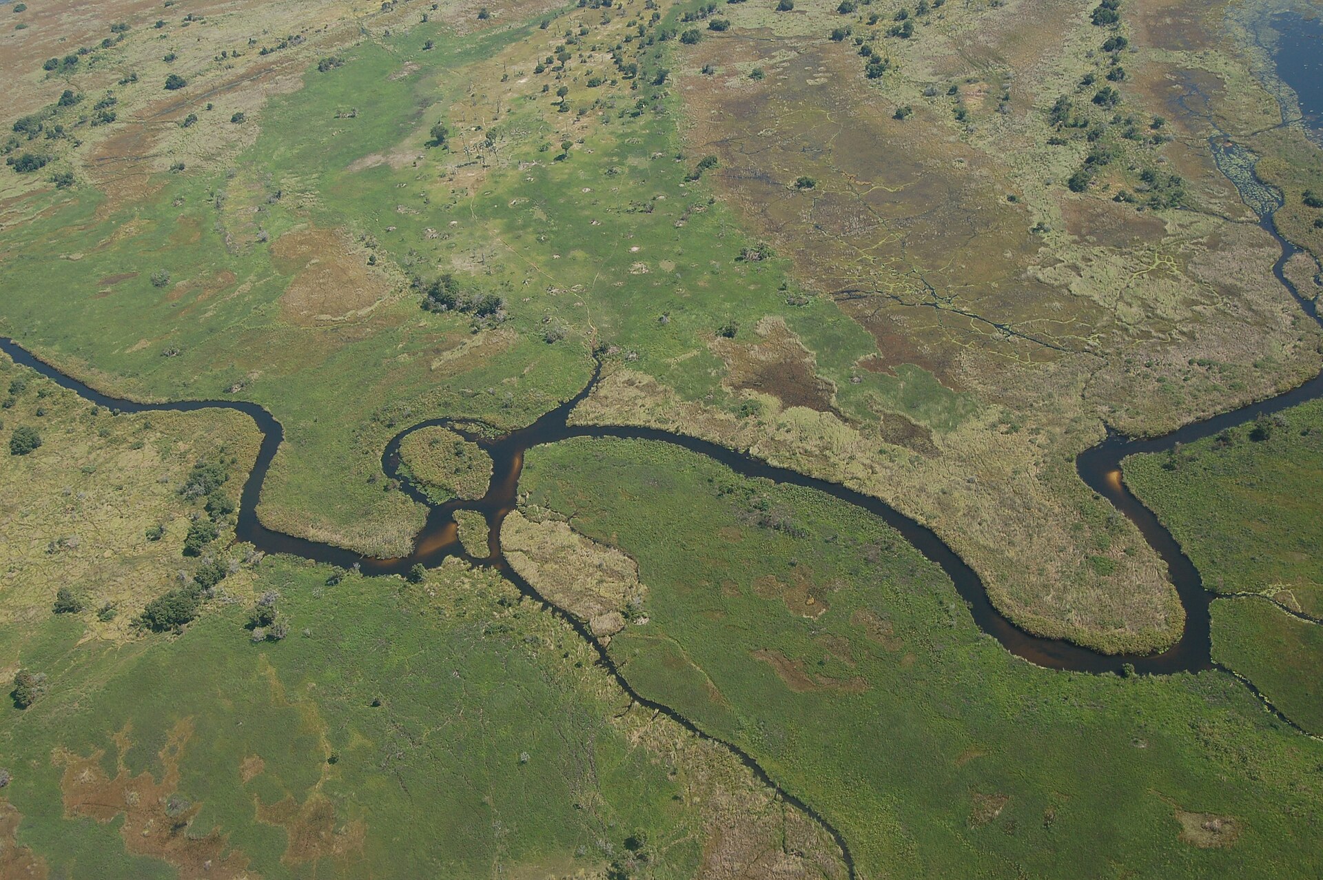 Okavango Delta, Botswana1