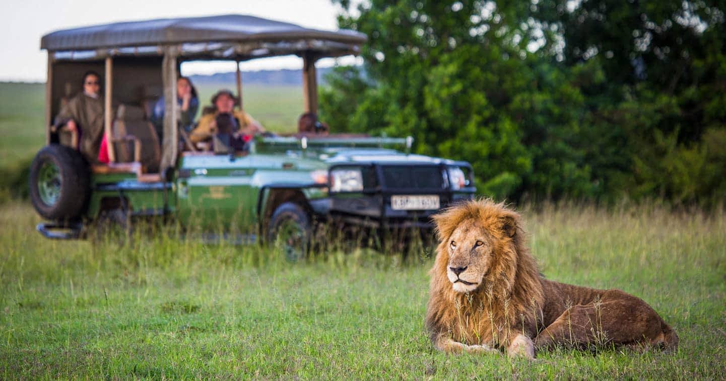 Olare Motorogi Conservancy in Greater Masai Mara - Kenya