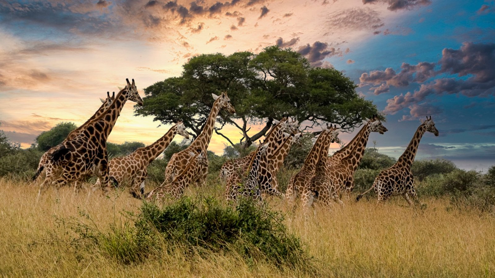 Experience the Thrilling Wonders of Omo Valley National Park: A Journey ...
