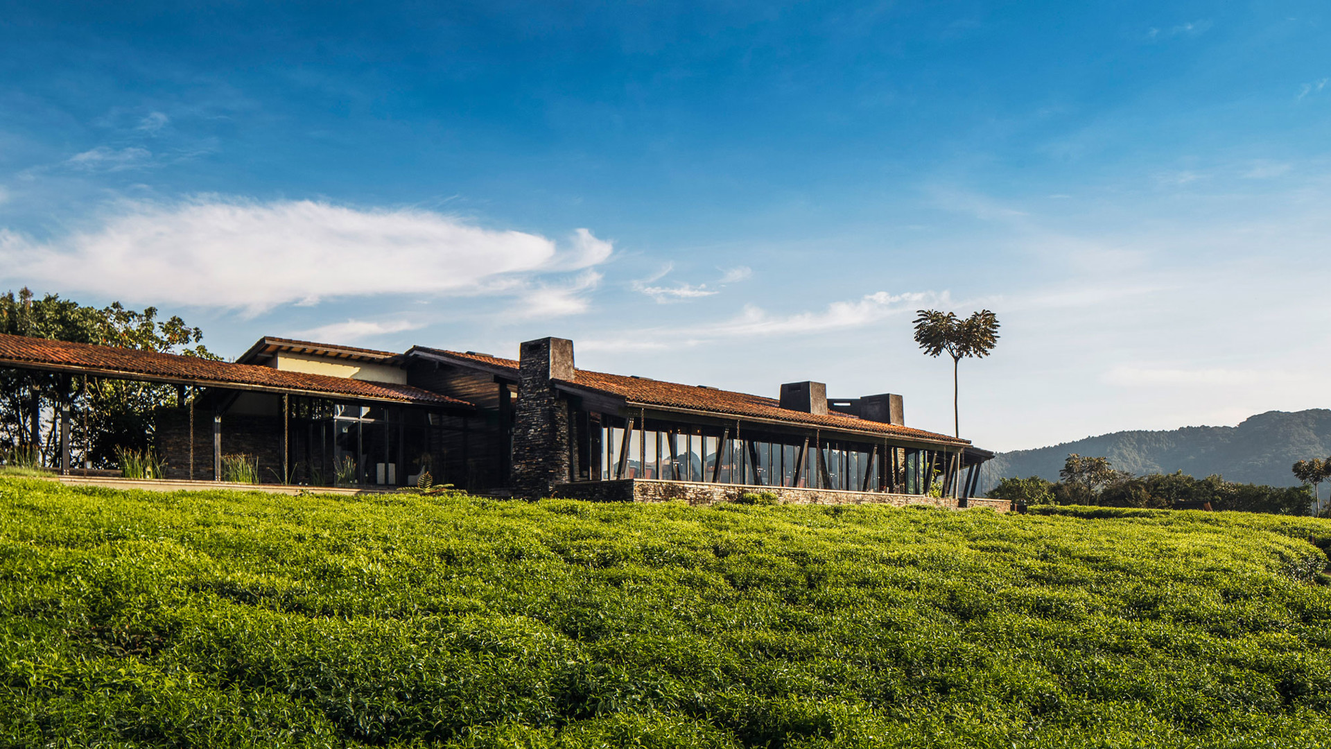 Hotell One&Only Nyungwe House, Nyungwe Forest National Park - Travel Beyond