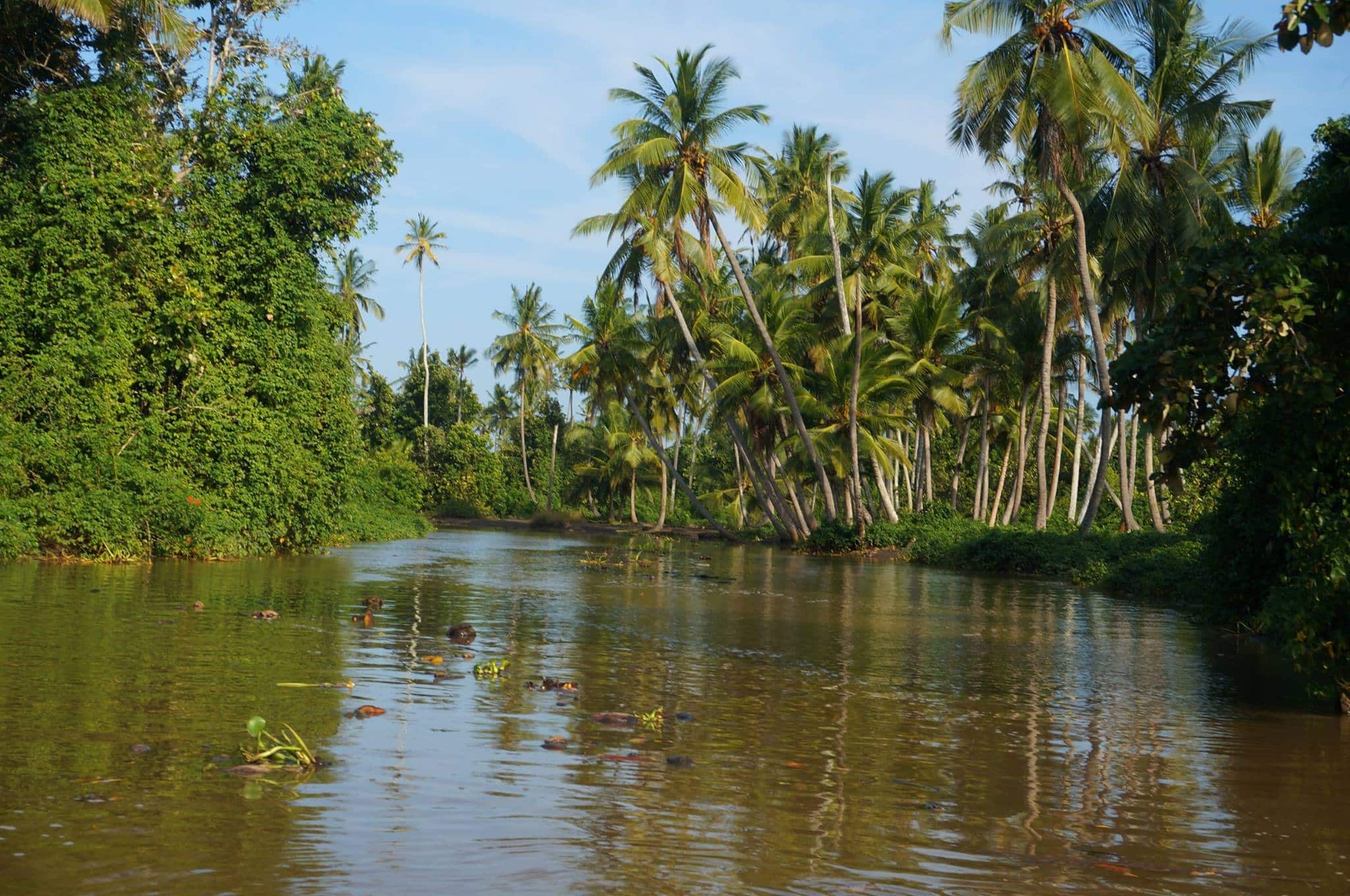 Pangani Town: Tanzania's Coastal Treasure