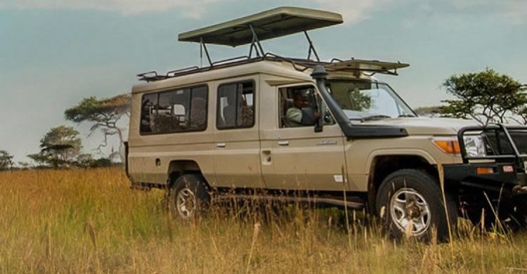 Land Cruiser Extended Rental: Safari Land Cruiser W/Pop Up Roof, driver