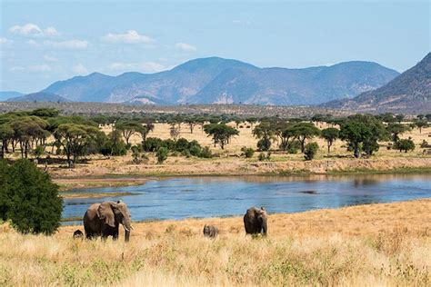 RUAHA NATIONAL PARK