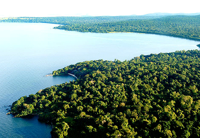 1 Day Tour Rubondo Island National Park Southwestern Lake Victoria Tanzania