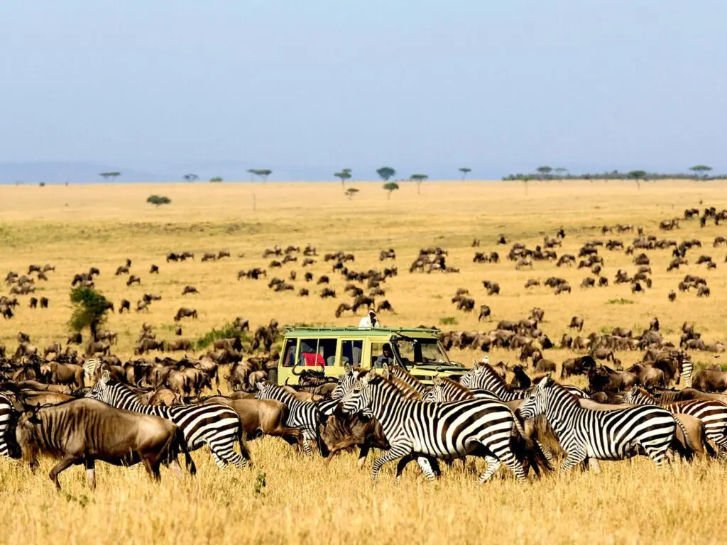 Serengeti National Park | The Great Migration | Tanzania Safaris ...