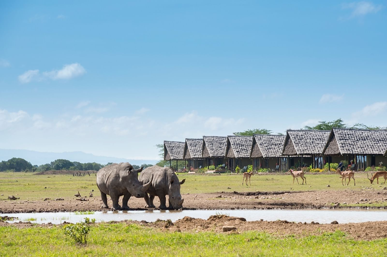 Sweetwaters Serena Camp | Ol Pejeta Conservancy | Tented Camp Kenya