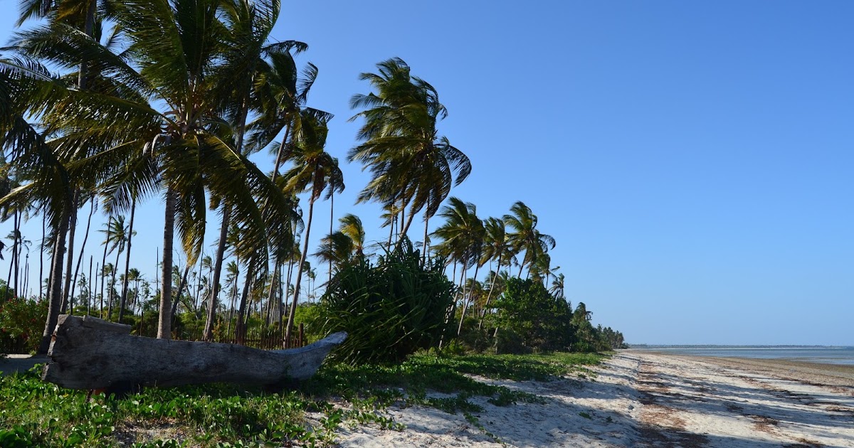 Times in Tanzania: Tanga Coast: Trip III