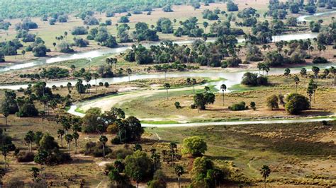 Ugalla River National Park Tanzania — Gorilla tracking Safaris in Rwanda