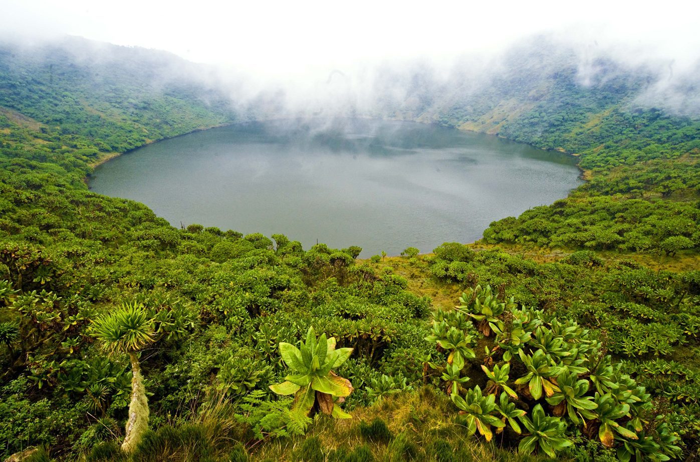 Volcanoes National Park - Visit Rwanda