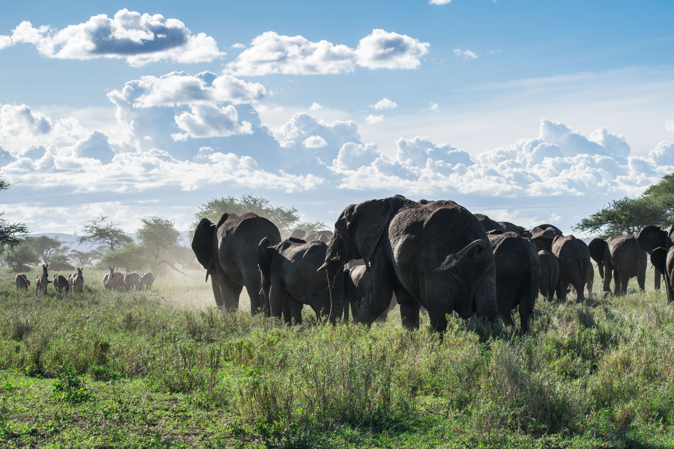 Sabi Sand Nature Reserve